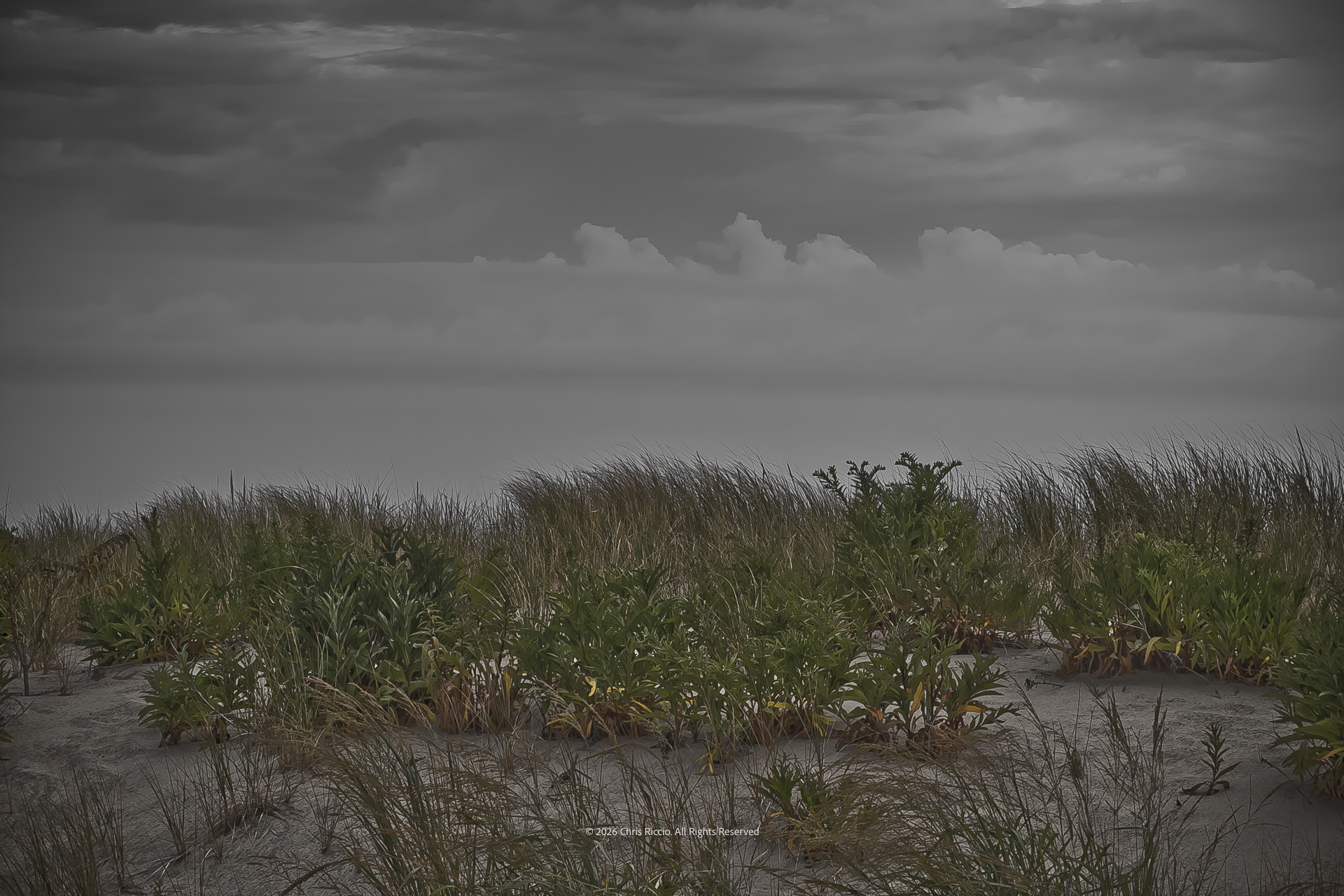 Storm Approaching